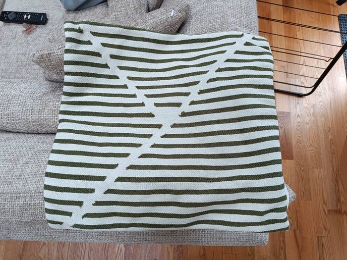 Set of 2 Striped Cushion Covers (Green & White)