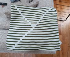 Set of 2 Striped Cushion Covers (Green & White)