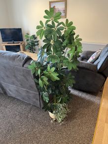 Artificial Plants
