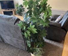 Artificial Plants