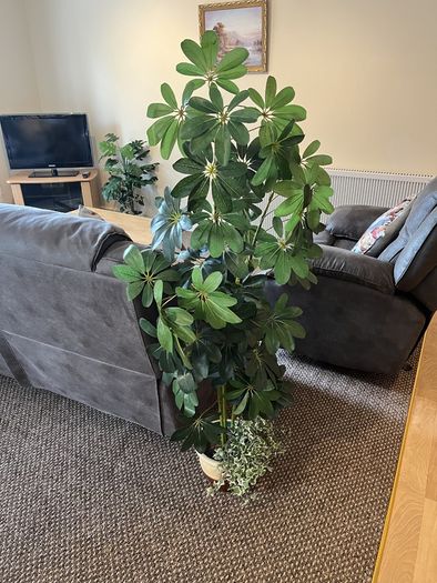 Artificial Plants