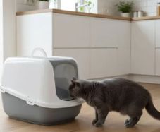 Covered Cat Litter Tray XXL