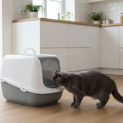 Covered Cat Litter Tray XXL