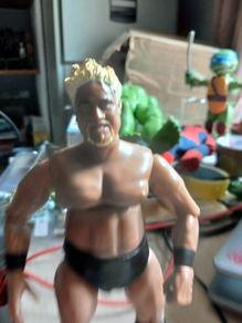 2000 Jakks Pacific WWE WWF Rakishi Action Figure