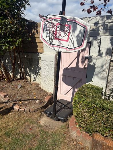 basket ball hoop
