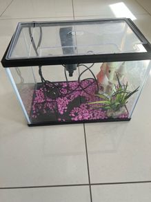 fish tank
