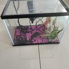 fish tank
