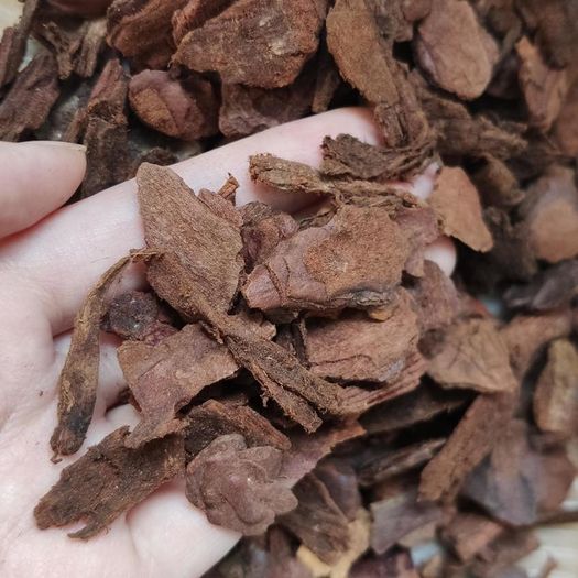 Orchid Pine Bark