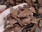 Orchid Pine Bark