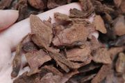 Orchid Pine Bark
