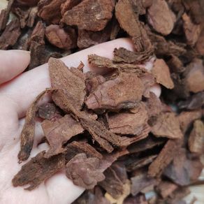 Orchid Pine Bark