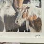 This is a framed photograph titled "Icelandic Horses" featuring Icelandic ponies in a snowy landscape. Image 8