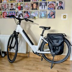 2 Spotless E-Bikes Sale or Trade