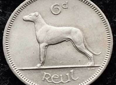 [#351] - Ireland 1967 | Irish 6p | Six Pence | Wolfhound | KM.13a