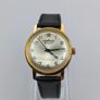 Pallas Eppo swiss men's watch Image 4