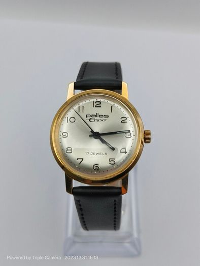 Pallas Eppo swiss men's watch