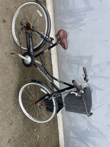 ladies bike