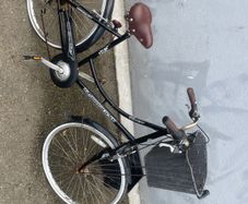 ladies bike