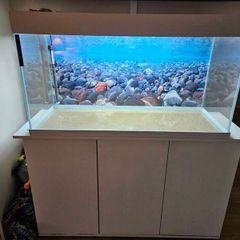fish tank
