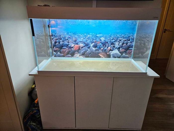 aquarium