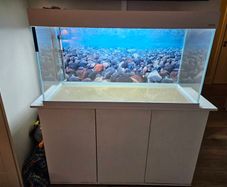 aquarium