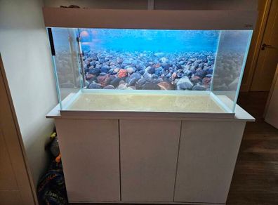aquarium