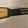 WWE World HeavyWeight Championship Replica Image 3
