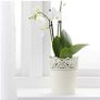 3x Skurar Plantpot/Dried Flowers/Make-up brushes/Pens Image 8
