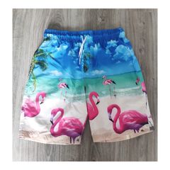 swim shorts