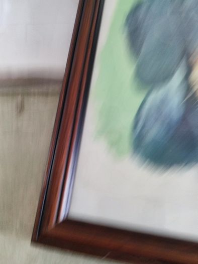 Framed print of dog.