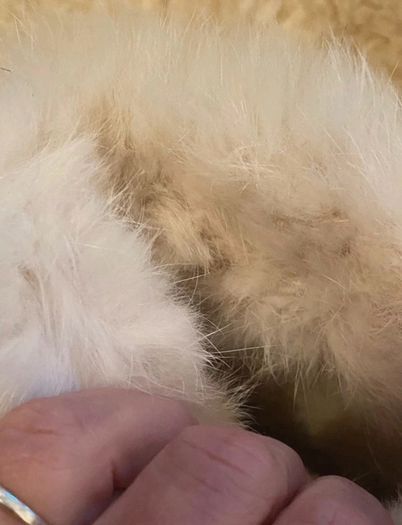 White Leather Vintage Fur Lined Boots