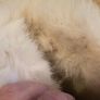 White Leather Vintage Fur Lined Boots Image 3