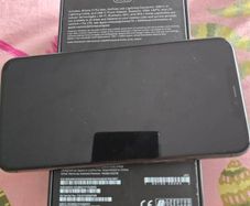 iphone 11  pro max