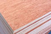 18mm WBP Plywood 8x4ft