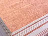main image for ad 18mm WBP Plywood 8x4ft