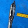 25mm Spoon Type Auger Image 2