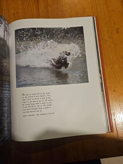 Just Dogs. A Literary And Photographic Tribut To The Great Hunting Breeds. First Edition Large Volume Hardback With Dustjacket In Good Condition.  See Photos For Same.