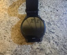 Garmin Forerunner 255