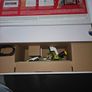 mariokart live home circuit Image 6