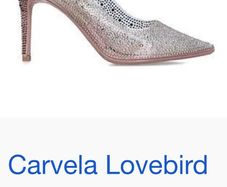 carvela  shoes brand new in box