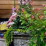 2 large planters for sale Image 2