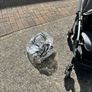Bugaboo Bee5 Single City Stroller - Limited Edition - Wave - Raincover Image 5