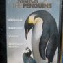 March Of The Penguins & The Fox And The Child New And Sealed Dvd Image 3