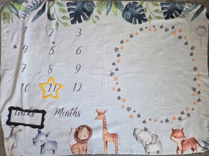 Newborn milestones blanket