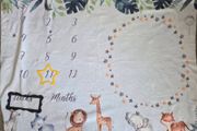 Newborn milestones blanket