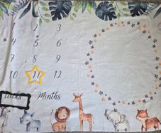 Newborn milestones blanket