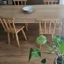 Leitrim Chairs and Table Image 2