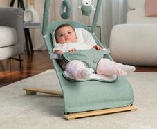 Baby Bouncer