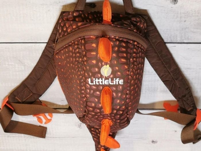 Backpack Harness