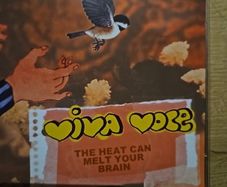 Viva Voce - The Heat Can Melt Your Brain/Lovers, Lead The Way! 2 CD.